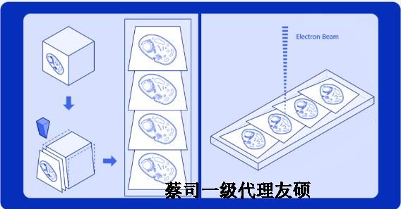 景德镇蔡司景德镇扫描电镜