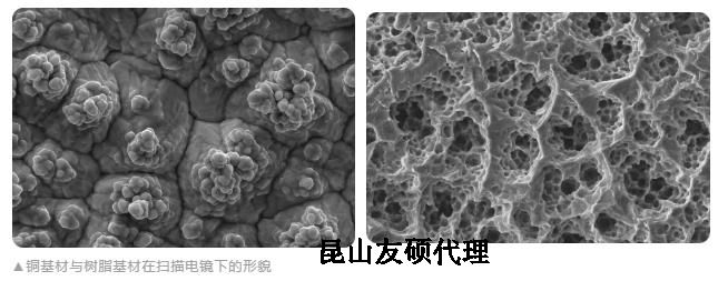 景德镇蔡司景德镇扫描电镜